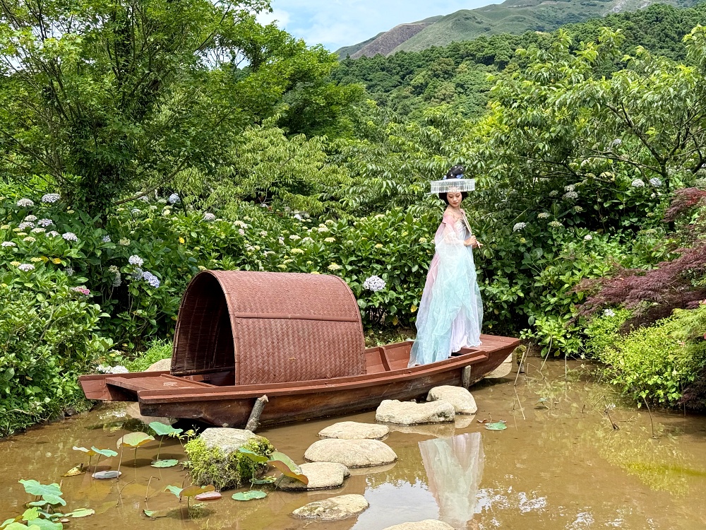 2025 陽明山竹子湖繡球花季